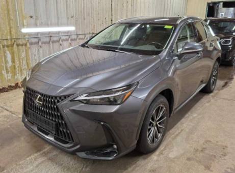 Lexus NX 2021 z Niemiec